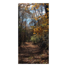 Nature Trail Picture Card