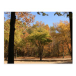 Nature, Trees, Elements, Outdoor, Travel, Sky Post Card