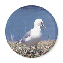 Nature View - Magnet