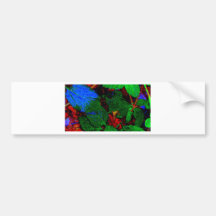 NATURE'S ABSTRACTS BUMPER STICKER