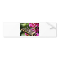 Natures Beauty Bumper Sticker