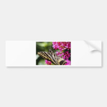 Natures Beauty Bumper Sticker