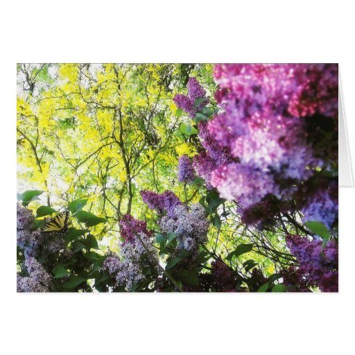 Natures Beauty Card