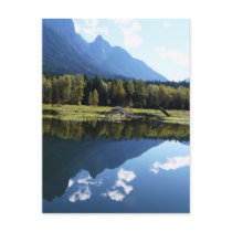 Nature's Beauty Reflected Postcards