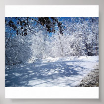 Nature's Beauty-Winter Poster