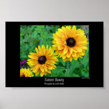 Natures Beauty-Yellow Stars in the Garden Posters