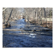 Natures Bridge 10x8 Photographic print