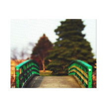 Natures Bridge Canvas Print