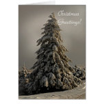Nature's Christmas Tree - Greeting Card