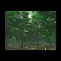 Nature's Clarity Postcard postcards