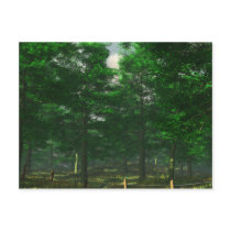 Nature's Clarity Postcard