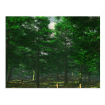 Nature's Clarity Postcard