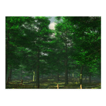 Nature's Clarity Postcard