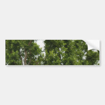Natures collection by Designer Sherri Bumper Stickers