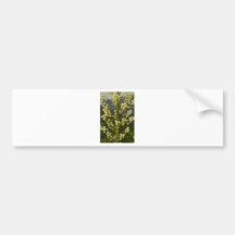 Natures Colour Bumper Stickers