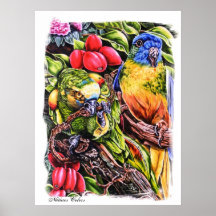 Natures Colours Poster