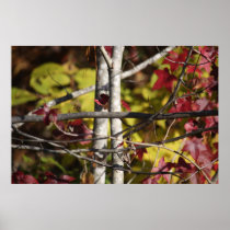 Nature's cross poster