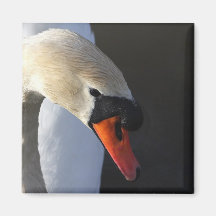 Nature's Finest Fridge Magnet