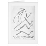 Nature's Four Wings art card