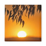 Nature's Frame Fridge Magnet