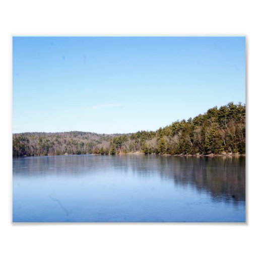 Natures Goodness 10x8 Photographic Print