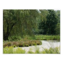 Natures Land 11 x 8.5 Photographic Print