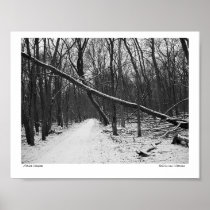 Nature's Overpass Print