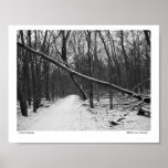 Nature's Overpass Print