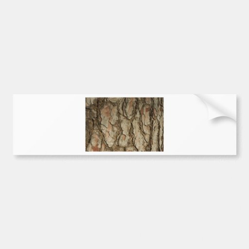 Natures Patterns Bumper Sticker