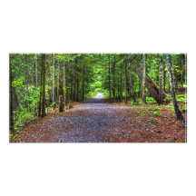 Natures Road Photo Greeting Card