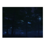Nature's Secret Postcards
