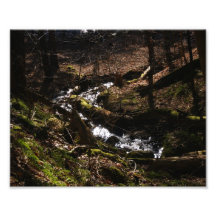 Natures Stream 10x8 Photographic Print