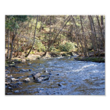 Natures Stream 10x8 Photographic Print
