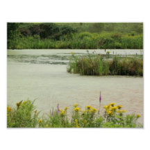 Natures Untouched 11 x 8.5 Photographic Print