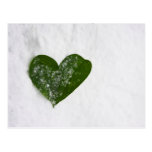 Nature's Winter Snow Romantic Heart of Love Postcard