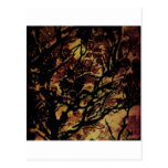 Natureza Abstrata Cartões Postais