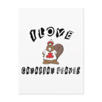Naughty I Love Canadian Beaver Post Cards