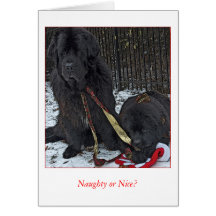 Naughty or Nice? Cards