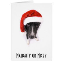 Naughty or Nice? Greeting Card