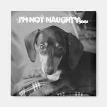 Naughty weiner dog magnets