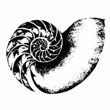 Nautilus Cut Outs