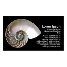 Nautilus Shell - Black Business Cards