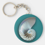 Nautilus Shell Key Chain