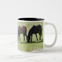 Navajo Mustangs Mug