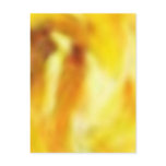 NAVEEN Happy Birthday Collection postcards