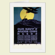 Navy's Aviation Corps Needs Help (US02301) cards