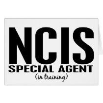 NCIS Special Agent In Training 1