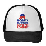Ne me blâmez pas que j'ai voté pour Romney Casquettes De Camionneur
