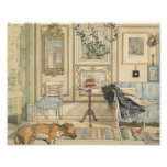 Ne réveillez pas le chat qui dort aquarelle suédoi art photographique