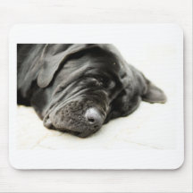 Neapolitan Mastiff Mouse Pads